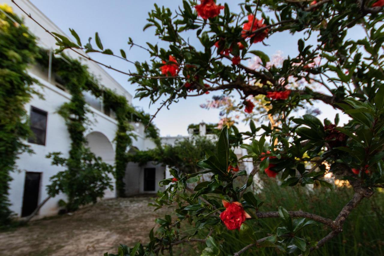 Masseria Parco Di Castro Montalbano  Extérieur photo