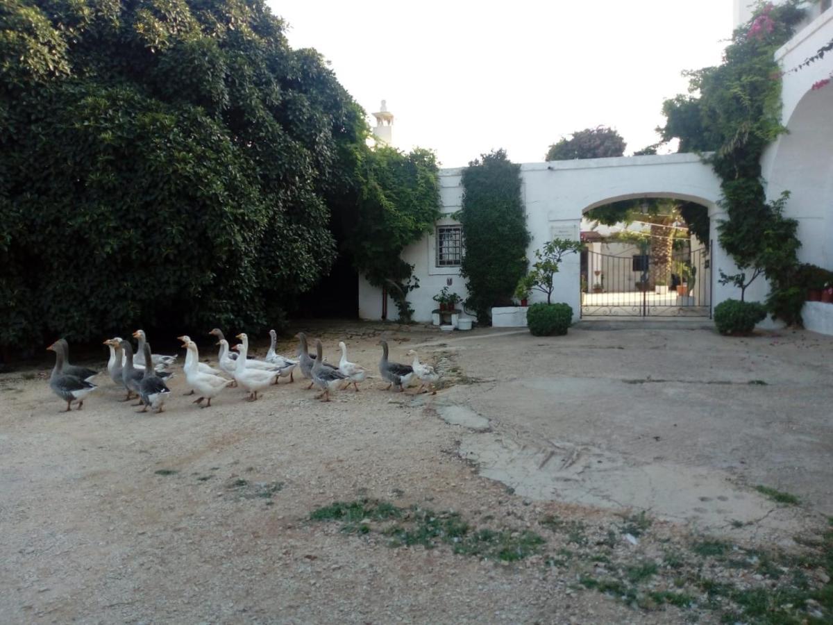 Masseria Parco Di Castro Montalbano  Extérieur photo